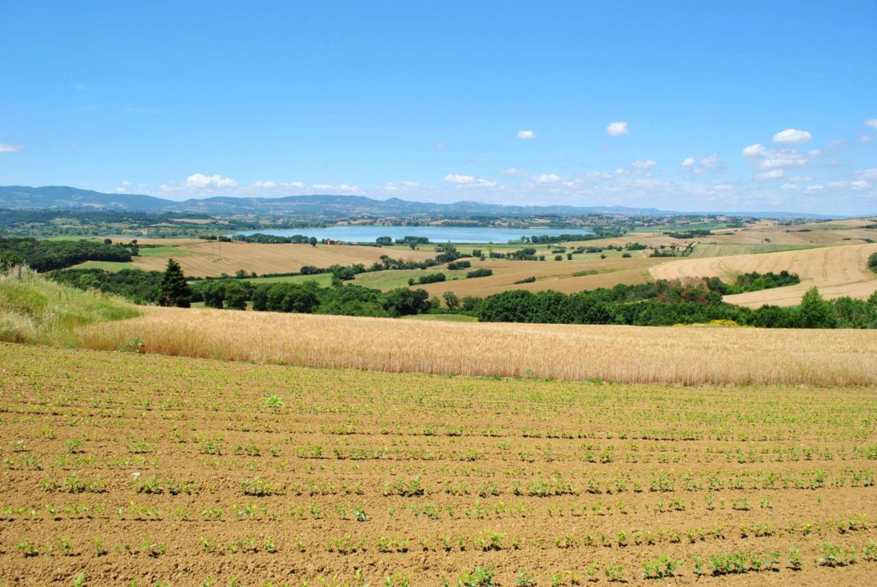 Country House Podere Lacaioli Guest House Castiglione del Lago Exterior photo